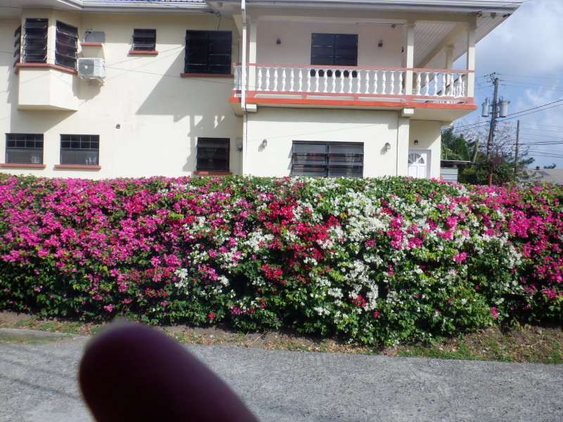 S0442050 - Copy.JPG