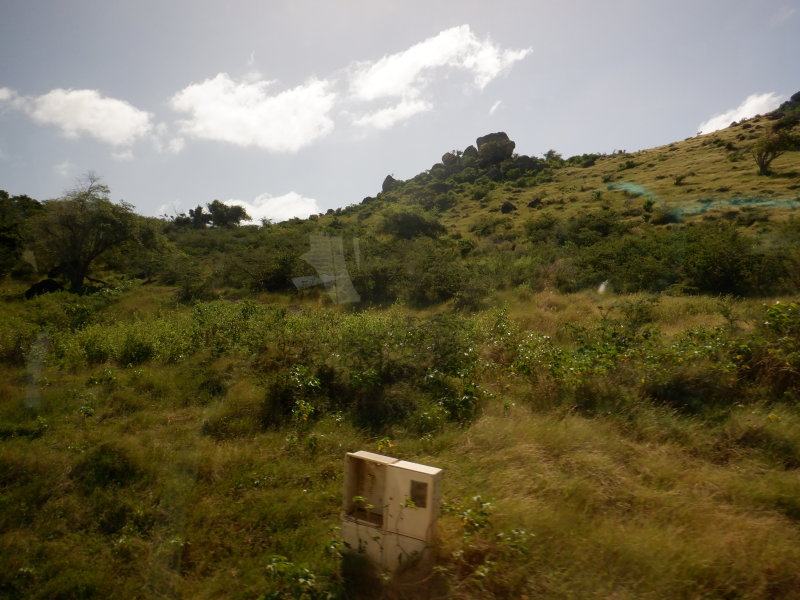 S0450099 - Copy.JPG