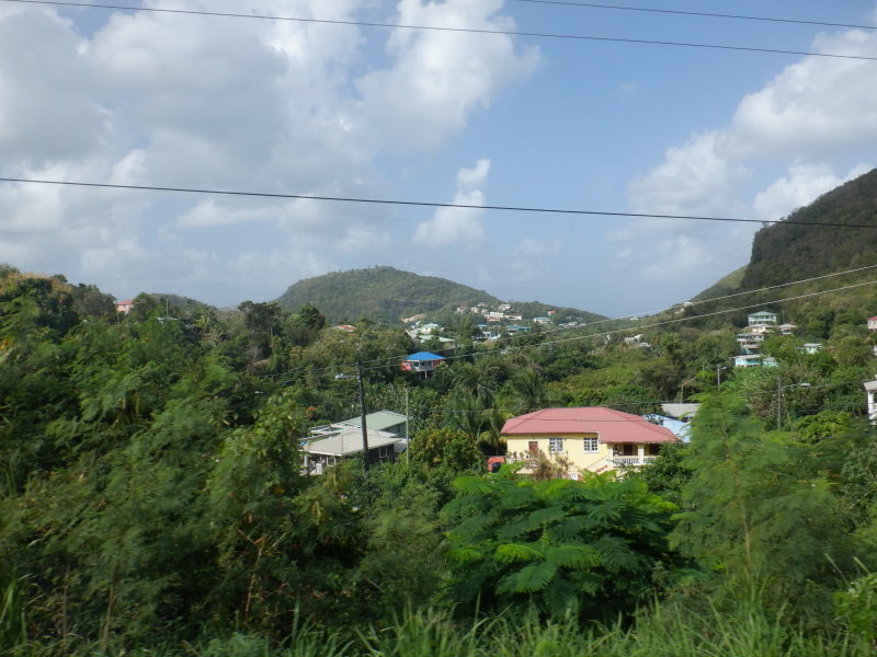 S0452051 - Copy.JPG