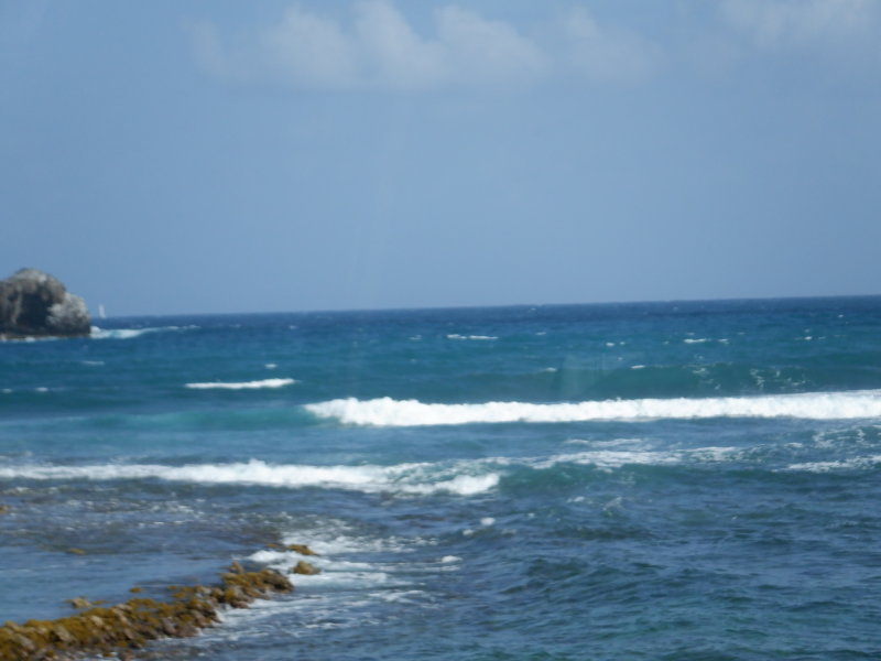 S0482056 - Copy.JPG