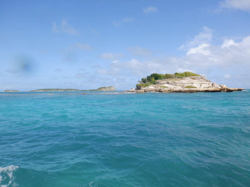 S0601071 - Copy.JPG