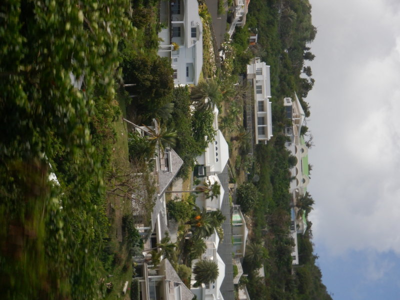 S0610115 - Copy.JPG