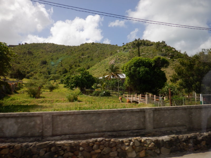 S0700125 - Copy.JPG