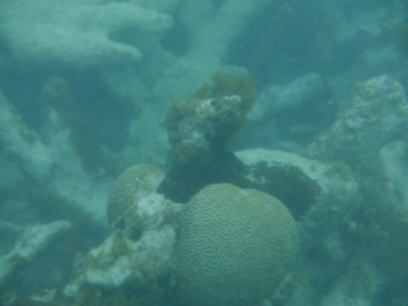 S0991112.JPG