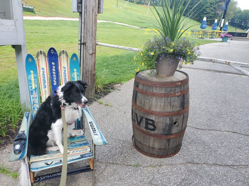 Lost Valley Ski