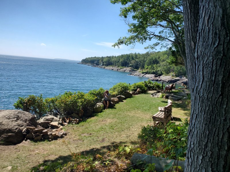 20200803_103736.jpg