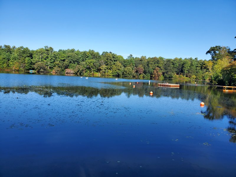 2020-10-03 09.19.42.jpg