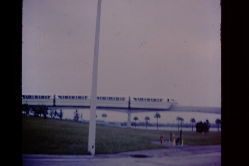 Disney 74-5.JPG