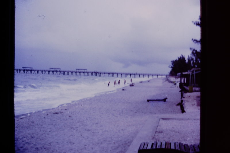 StPete 74-4.JPG