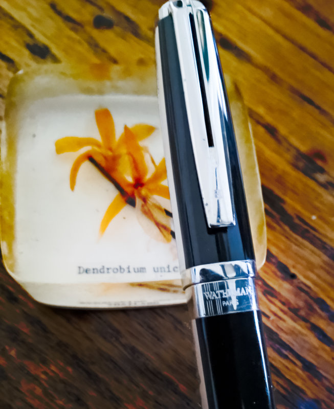 DL Waterman Night & Day