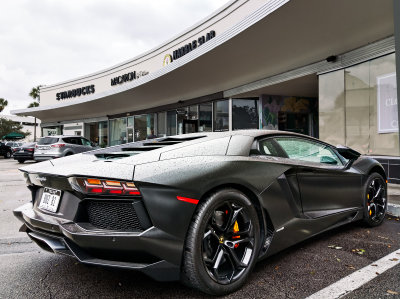 Buzbee Lambo Aventador