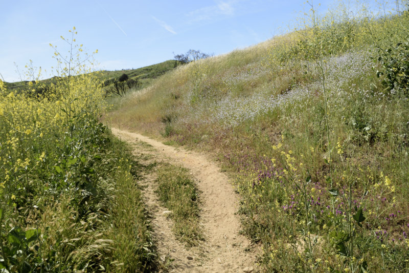 MOD_DSC1441_1920.JPG