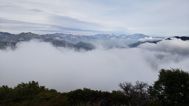 20190515_165842.jpg