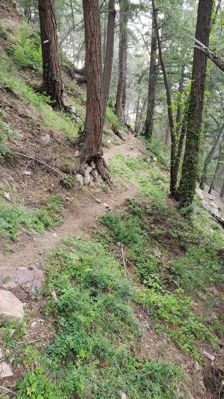 20190515_172658.jpg