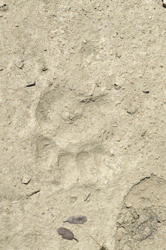 MOD_DSC1452_1920.JPG