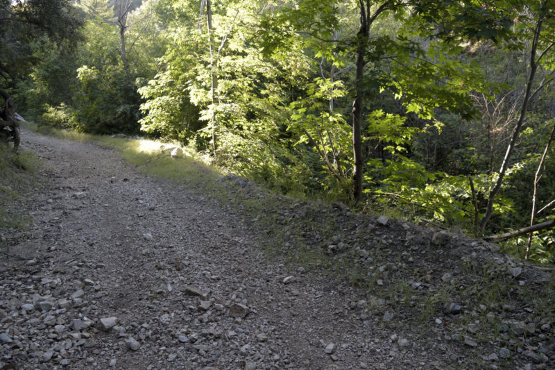 MOD_DSC1459_1920.JPG