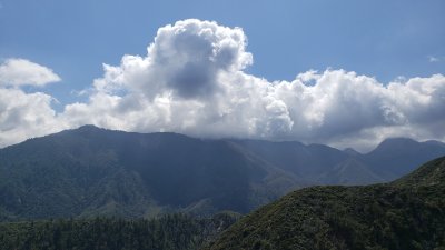 View to Mount Wilson from north