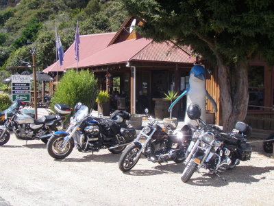 190317 Penguin Pohara 04.jpg