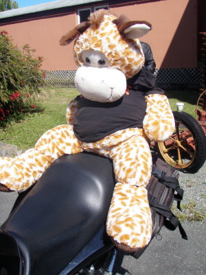 201128 Nelson Toy Run 033.jpg