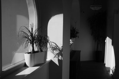 20190524-9748.jpg