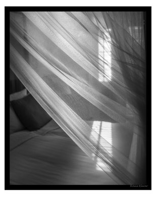 veiled sunlight.jpg