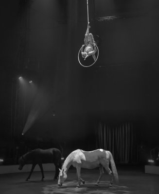 Aerial Hoop  Monochrome