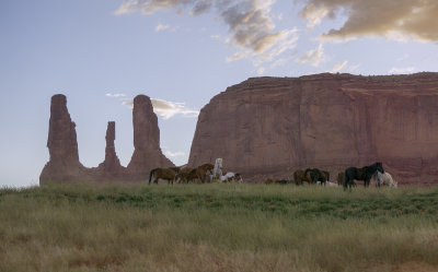Monument Valley Horses