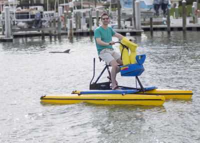 Hydrobike and Dolphin