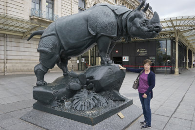 Musee D'orsay Rhino 