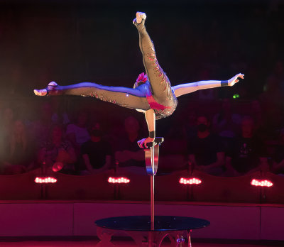 Contortionist Elayne Kramer