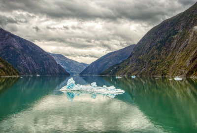 Fjord Ice