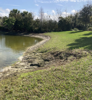 Erosion Caused By Herbicides And Excessive Sprinkler Use 02.19.21.jpg