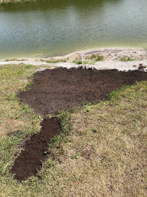 Effect Of Herbicides On Shoreline Erosion