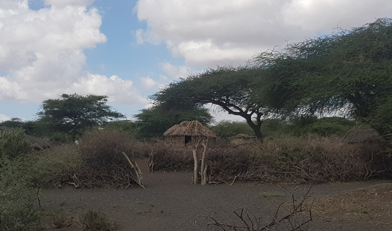 Masaai hamlet