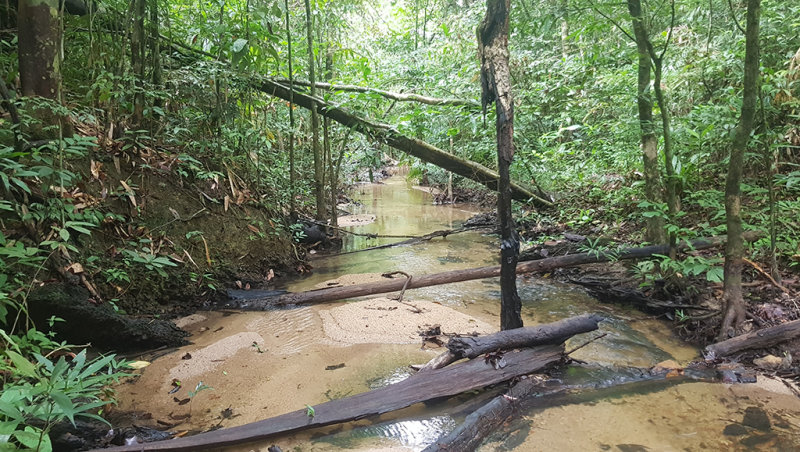 Khao Bahntad WS, Pattalung