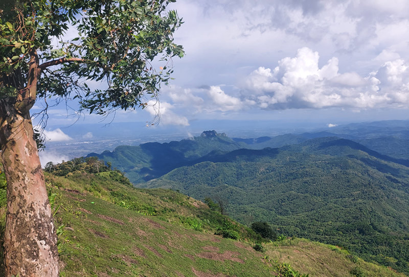 Tap Berk view