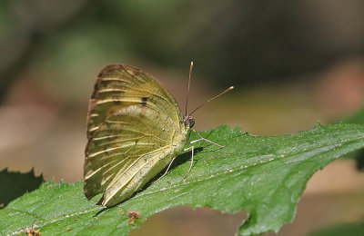 g12/90/590590/3/171239286.bAv6Eaeu.jpg