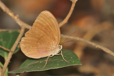 g12/90/590590/3/171645482.y60rPIJw.jpg
