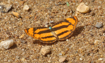 g12/90/590590/3/172405681.hYcYe04n.jpg