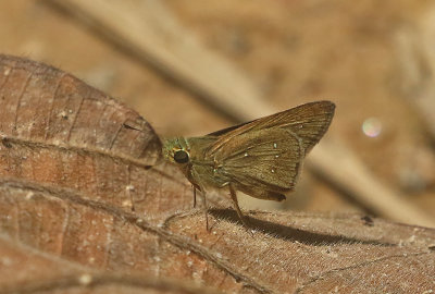 g12/90/590590/3/172728538.cjl7uvN5.jpg