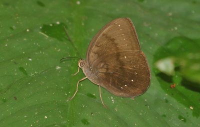 g12/90/590590/3/172728552.Ny54Rc9a.jpg