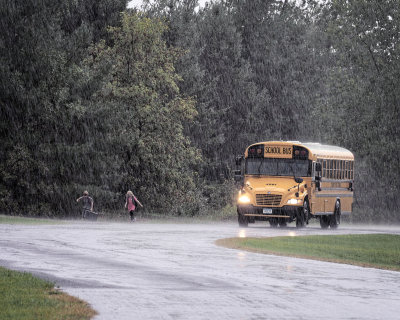  Downpour School Bus 