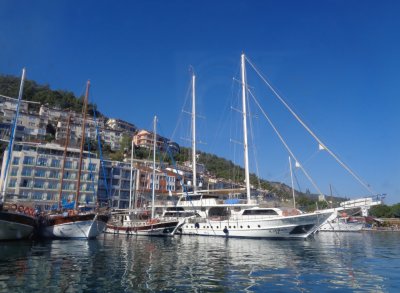 turkey