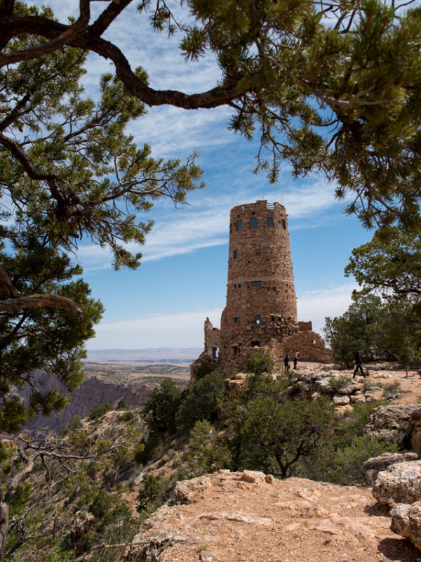 Tower framed by trees