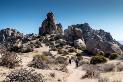 McDowell Mountain hike