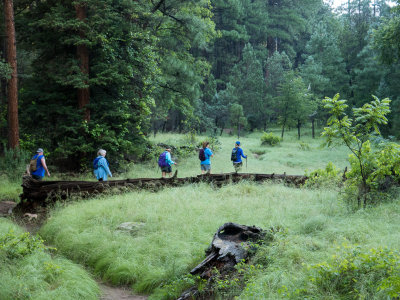 Green hike