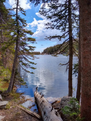 The Loch