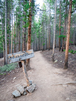North Elbert Trail
