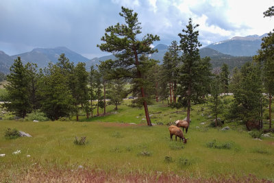 Rocky Mountain National Park
