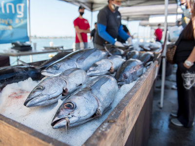 Dockside market